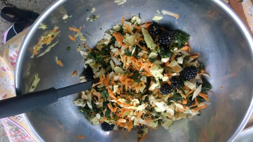 Kale and Blackberry Salad