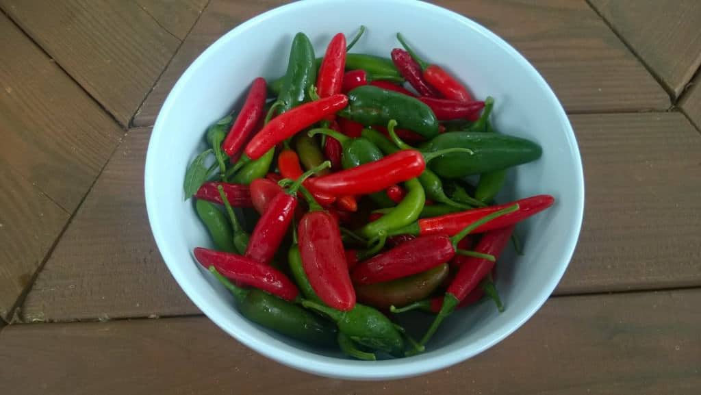 A small pepper is a key ingredient for the apple salsa!