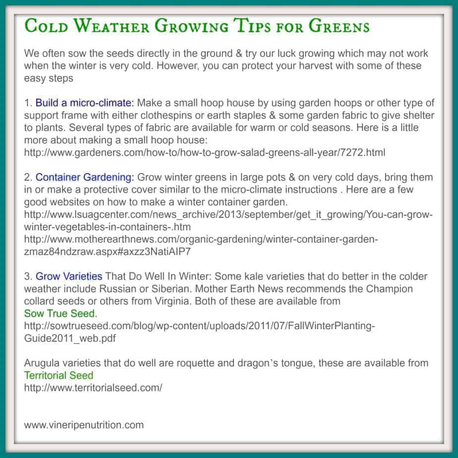 Here are some resources and growing tips for growing greens in the cold weather.