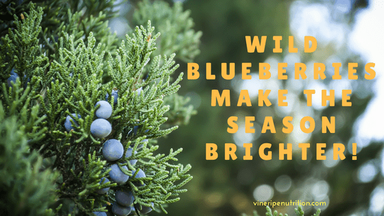 Wild Blueberries Make the season brighter