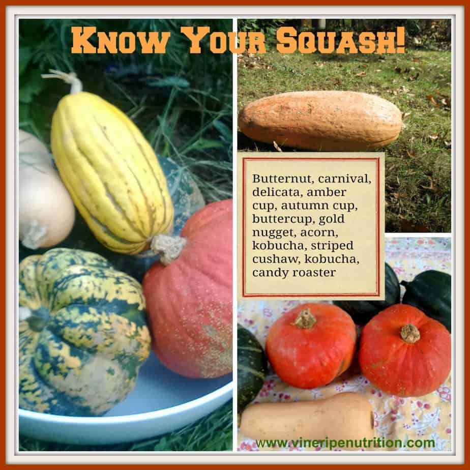 know your squash